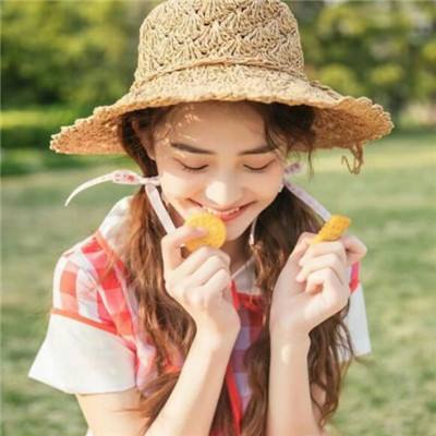 飞龙联盟官方下载